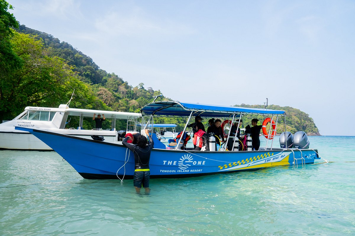 The One Tenggol Diving Boat - Speedboat Transfer